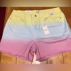 NWT Women's Judy Blue Size 3XL Ombre Pastel Denim Shorts